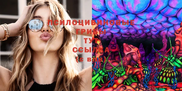 прущая мука Богданович