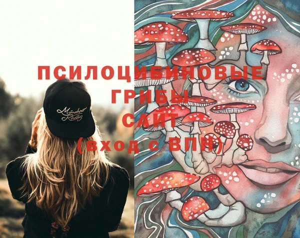 прущий лед Богородицк