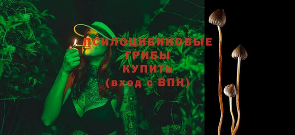 прущий лед Богородицк