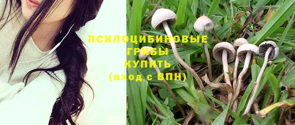 прущая мука Богданович
